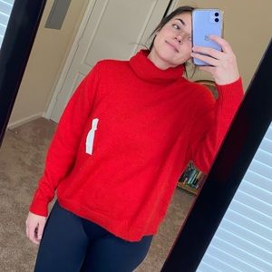 Turtleneck Sweater